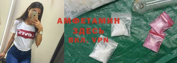 индика Новый Уренгой