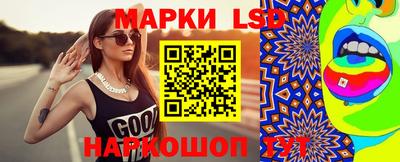 гашик Будённовск