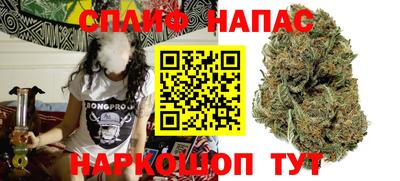 гашик Будённовск