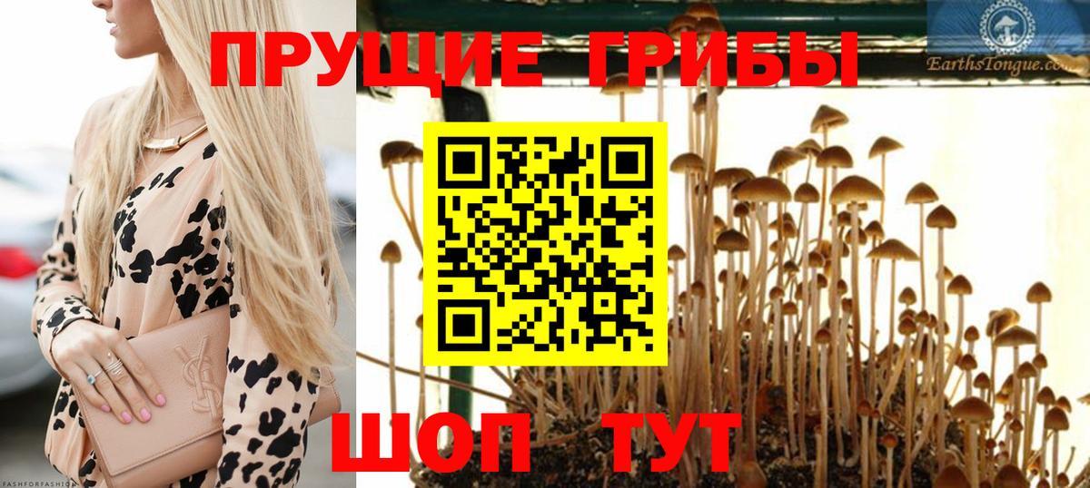 Галлюциногенные грибы Magic Shrooms Дербент