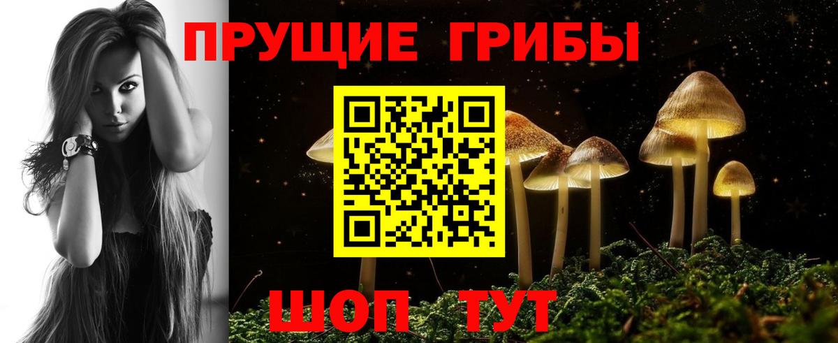 Дербент  Псилоцибиновые грибы Magic Shrooms  Вход с VPN 