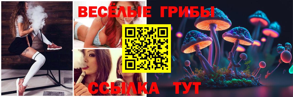 Псилоцибиновые грибы Magic Shrooms Дербент