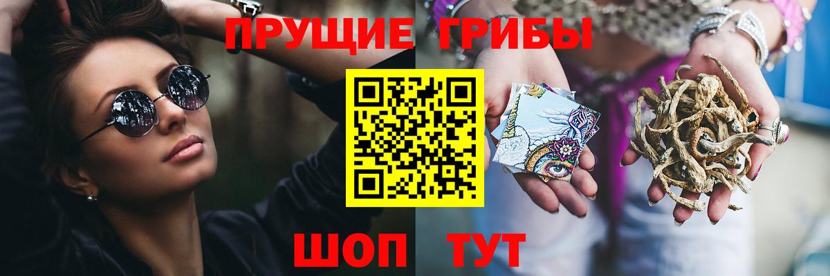 Лсд 25 Дербент